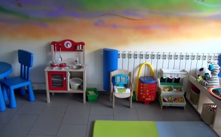 REOBRE EL SERVEI DE CANGUTATGE GRATUÏT A PUIGCERDÀ