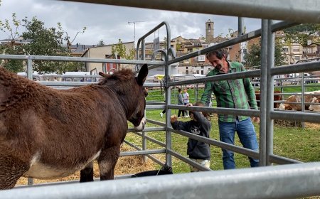 LA DIPUTACIÓ DE LLEIDA DOTA AMB 900.000 EUROS ENS LOCALS PER ACTIVITATS FIRALS