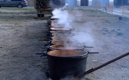 LA GUIXA D’ISONA, DINS DE LA FEDERACIÓ D’ESCUDELLES I RANXOS HISTÒRICS DE CATALUNYA