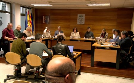 LA RETIRADA DE LA LÍNIA ELÈCTRICA DE LA PEDRERA, PUNT DE DISPUTA AL PLE DE TREMP