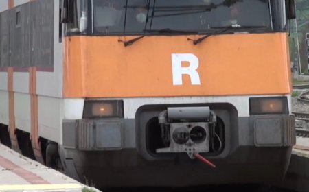 TRES FERITS EN XOCAR UN TREN DE LA R3 AMB UNA ROCA DE GRANS DIMENSIONS