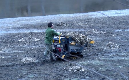 FINALITZADA LA CAMPANYA DE RECOLLIDA DE L’ELODEA AL PANTÀ DE LA TORRASA