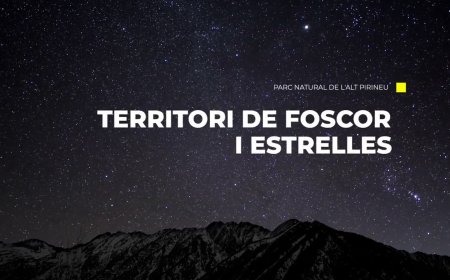 EL PARC NATURAL DE L’ALT PIRINEU EXPOSA EN UN VÍDEO LA FEINA FETA A FAVOR D’UN CEL FOSC
