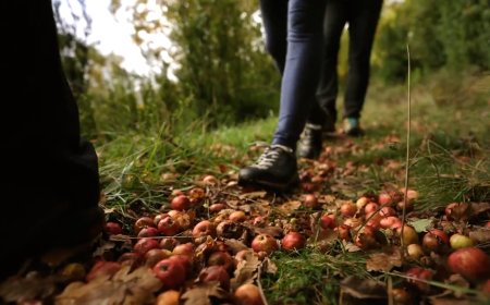 DESCOBRIR EL PATRIMONI DE LA RIBAGORÇA A TRAVÉS DEL SENDERISME