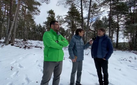 Paisatge resilient en construcció a Soriguera: Connecta Lleida Pirineus 24-03-2025