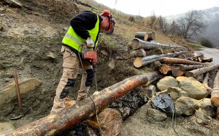L’ALT PIRINEU VOL ACOLLIR UN CENTRE DE FORMACIÓ DE BIOENGINYERIA