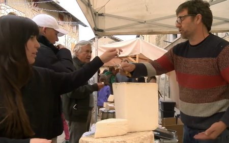 ALP ES PREPARA PER A LA 13a MOSTRA DE FORMATGES I LÀCTICS DE CERDANYA I L’ALT URGELL