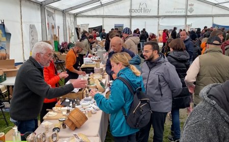 UNES 6000 PERSONES VISITEN LA 13A FIRA DEL FORMATGE DE SORT