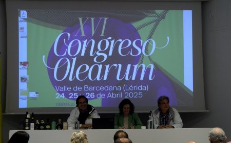 EL CONGRÉS OLEARUM VOL POSAR EN VALOR ELS PETITS PRODUCTORS D’OLI I EL SEU PRODUCTE