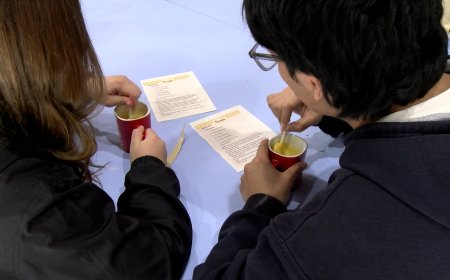 PROVA PILOT D’ESPAI JOVE A LA SEU D’URGELL