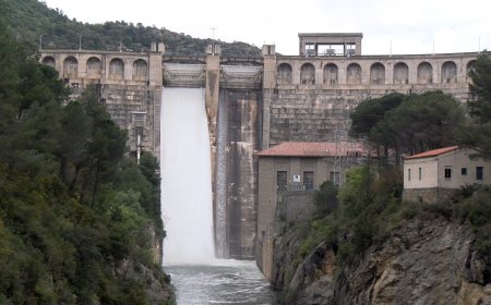 ELS EMBASSAMENTS D’OLIANA I RIALB OBREN COMPORTES