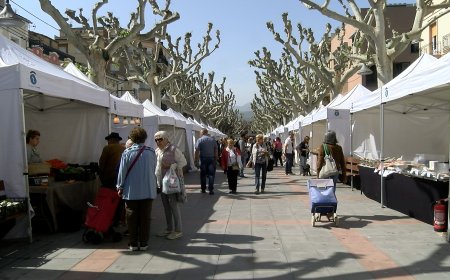 ES REPARTEIXEN MÉS DE 850 RACIONS AL DINAR DE “PALLARS TERRA DE CORDER”