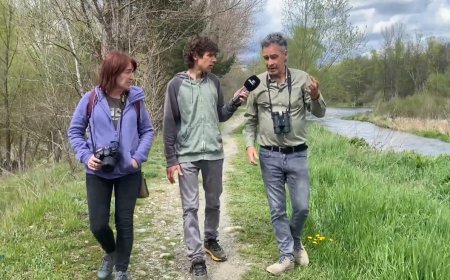 Un nou itinerari per acostar-se a més de cent ocells: Connecta Lleida Pirineus 05-05-2025