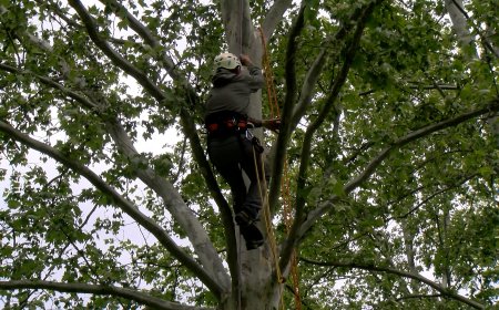 SEGURETAT I CONEIXEMENT PER TREBALLAR EN ALÇADA
