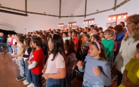 Convertir-se en coral per un dia: Connecta Lleida Pirineus 13-05-2025