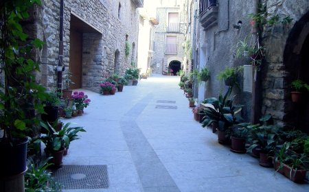 ENTREGA DE PREMIS DE LA 2A EDICIÓ DE “SALÀS VILA FLORIDA” AQUEST DISSABTE