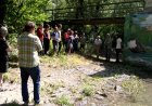 MÉS PROPOSTES D'ECOTURISME AL PARC NATURAL DE L’ALT PIRINEU