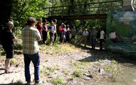 MÉS PROPOSTES D'ECOTURISME AL PARC NATURAL DE L’ALT PIRINEU