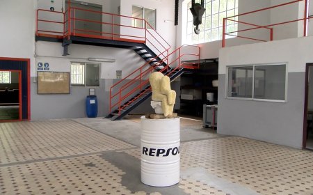 LA VALL FOSCA  EXPOSA DIFERENTS PECES DE L’ARTISTA CONTEMPORANI DAVID BESTUÉ