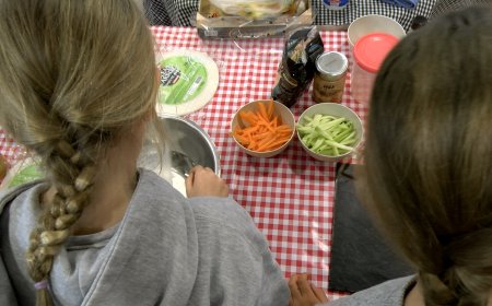 OLIANA PREPARA LA SEGONA EDICIÓ DE L’ESTIU JOVE