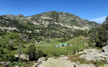 RETIRADA DE L’ESPÈCIE INVASORA DELS VERONS ALS ESTANYS DE  ROSARI D’ÀRREU I DE GARRABEA