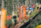 270 RIDERS  PARTICIPEN AL CAMPIONAT D’ESPANYA DE DESCENS BTT A LA MOLINA