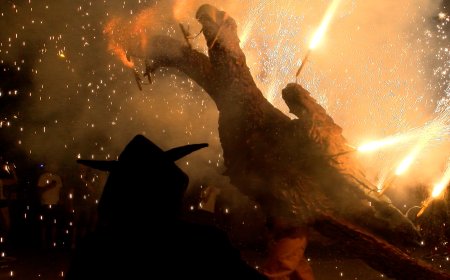 FINS A 9 BÈSTIES ES VAN REUNIR DISSABTE EN LA TROBADA PALLARS DE FOC A TREMP