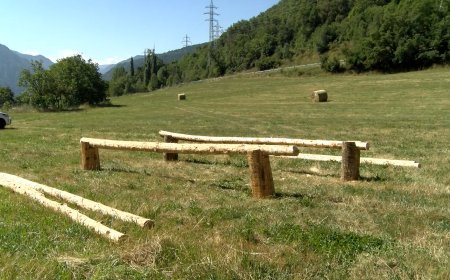 NEIX EL FUSTÀNEU, UNA JORNADA QUE CELEBRARÀ LA CULTURA DE LA FUSTA A LES VALLS D’ÀNEU