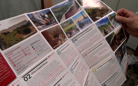 ES PRESENTA UN FULLETÓ PER POTENCIAR L’ENOTURISME ALS PALLARS