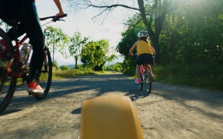 LA SEU D’URGELL ESTRENA NOU VÍDEO PROMOCIONAL