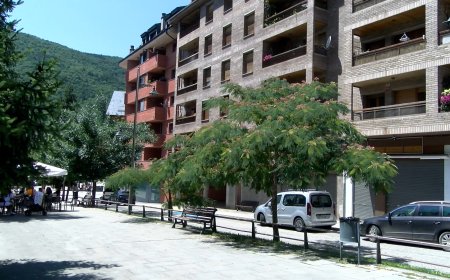 ES RESOLEN LES SUBVENCIONS PEL PAGAMENT DEL LLOGUER PER A JOVES A L’ALTA RIBAGORÇA