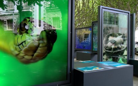 ELS COLORS PROTAGONITZEN UNA NOVA EXPOSICIÓ AL PASSEIG JOAN BRUDIEU