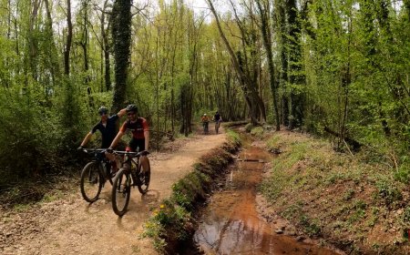 EL TRINXACORBELLS TORNA AMB FORÇA AQUEST CAP DE SETMANA ENTRE BELLVER I MARTINET