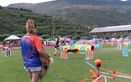 RIALP ACULL LA COMPETICIÓ INTERNACIONAL D’AGILITY DEL 2 AL 7 D’AGOST