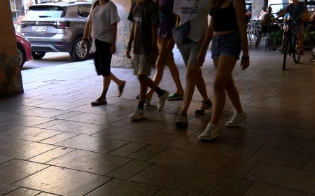 LA SEU ENCARREGA UN NOU PLA DE MOBILITAT PER PACIFICAR LA CIUTAT