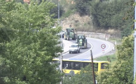 LA PAGESIA ES MOBILITZA A LA SEU D’URGELL PER EXIGIR MESURES CONTRA LA FAUNA SALVATGE