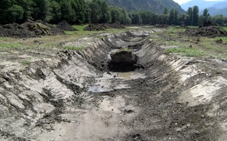 LA RESTAURACIÓ DEL PLA DE SALITO CONTRIBUIRÀ A RECUPERAR L'HIPPURIS VULGARIS