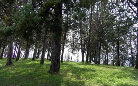 L’AJUNTAMENT DE TREMP PROMOU L’ÚS DELS REFUGIS CLIMÀTICS