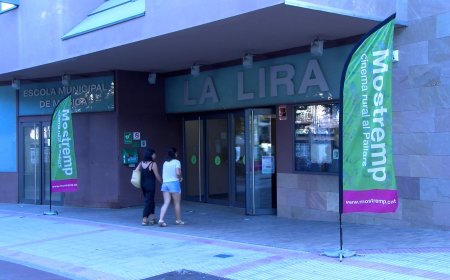 17 CURTMETRATGES PARTICIPANTS A LA 14A EDICIÓ DEL MOSTREMP