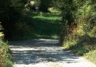 VILALLER ARRANJA DIFERENTS PISTES FORESTALS DEL MUNICIPI