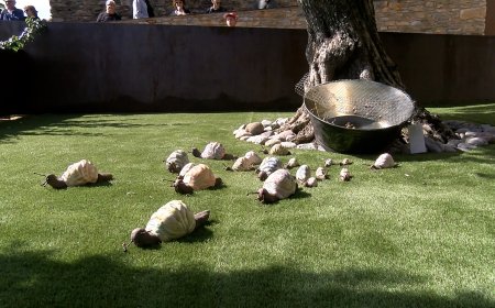 ESTAMARIU ES CONSOLIDA COM A CENTRE DE LA CULTURA PIRINENCA