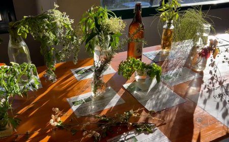 L’11A EDICIÓ DE LA FIRA ARÇ POSA EL FOCUS EN LA CONSCIÈNCIA FORESTA