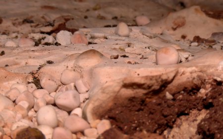 INVESTIGADORS DEL GEO3BCN CSIC ESTUDIEN PERLES DE CAVERNA A UNA ANTIGA MINA DE PERAMOLA