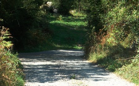 VILALLER ARRANJA DIFERENTS PISTES FORESTALS DEL MUNICIPI