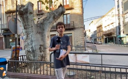 La Pobla perd el seu arbre més emblemàtic: Connecta Lleida Pirineus 18-09-2025