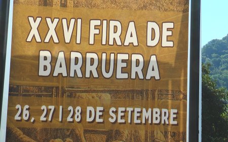 LA 26a FIRA DE BARRUERA ESTRENARÀ UN CONCURS DE GOSSOS D’ATURA AMB VAQUES