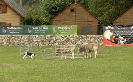 11 GOSSOS PARTICIPEN EN LA PRIMERA ‘ATURA’T VALL DE BOÍ’