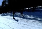 TOT NÒRDIC PREPARA TEMPORADA AMB OPTIMISME