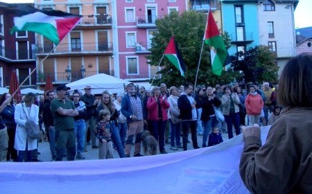 DESENES DE PERSONES CLAMEN A PUIGCERDÀ PER LA LLIBERTAT DE PALESTINA