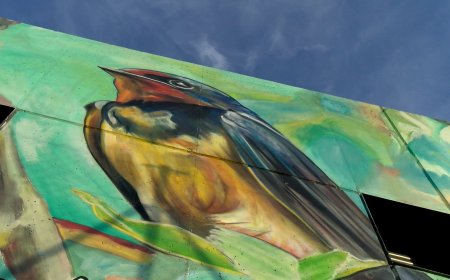 EL CENTRE CÍVIC DE TRAGÓ ES CONVERTIRÀ EN UN ESPAI DE POESIA